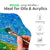 6-pc Filbert Brush Set for Acrylic & Oil